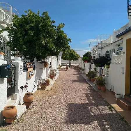 Apartment Bungalow